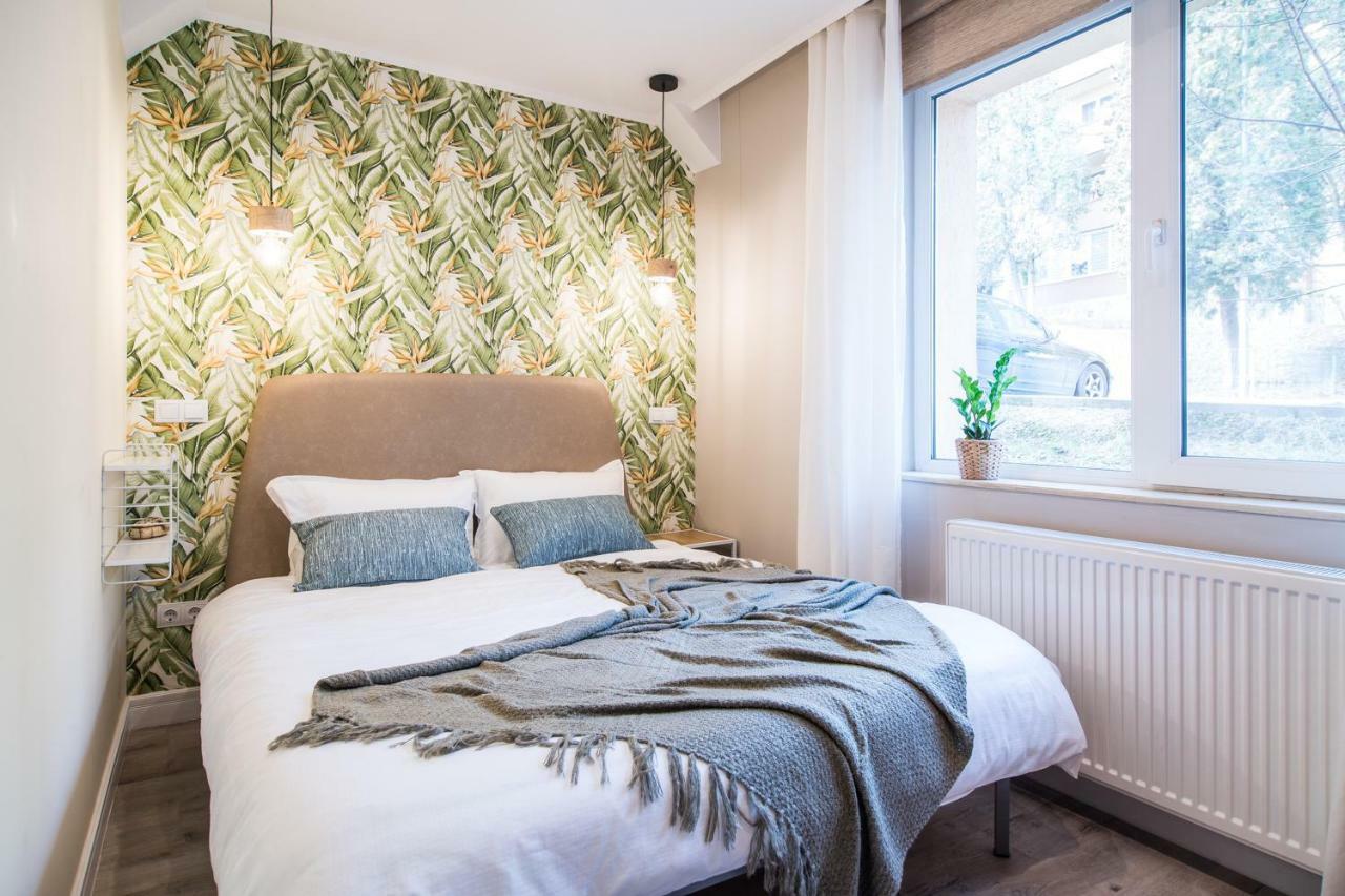 Apartment Elias Kluż-Napoka Zewnętrze zdjęcie